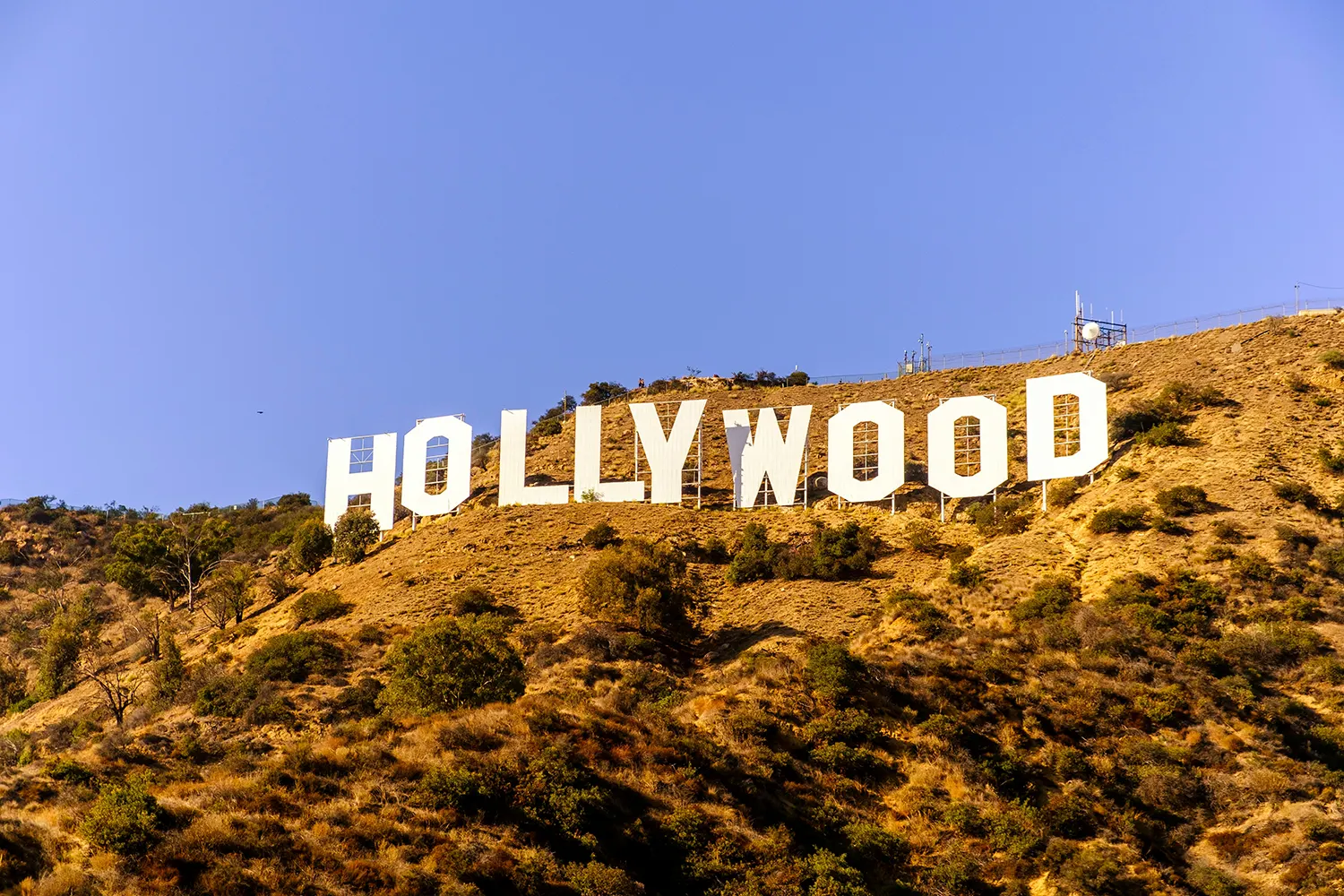 Звезды Голливуда, которые используют средства iS Clinical